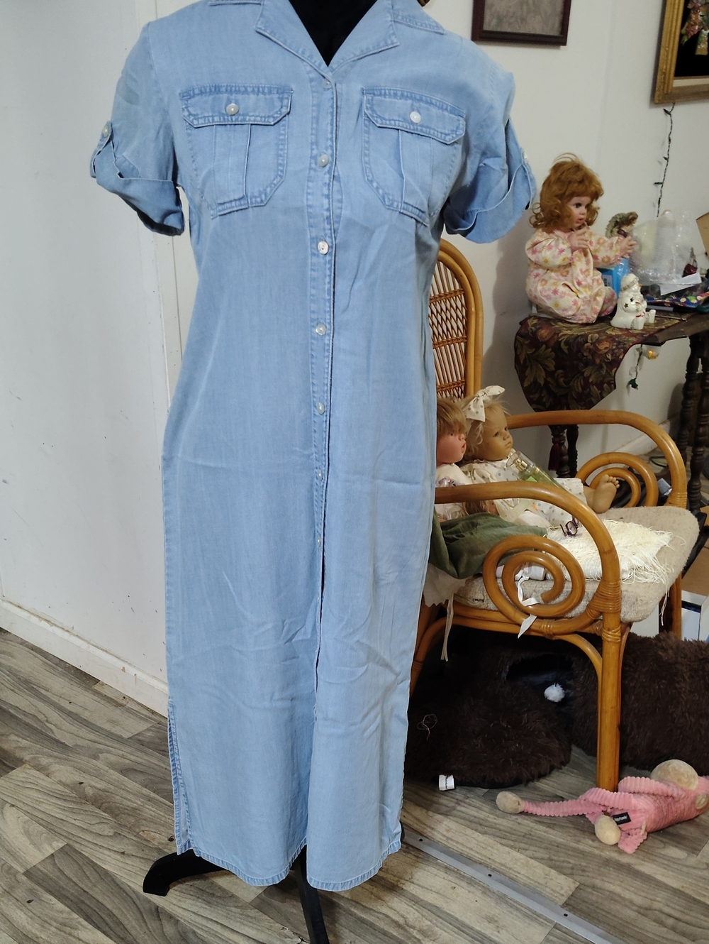 Vintage Crazy Horse Denim Dress